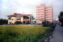 OUR BUILDING IN MIAOLI