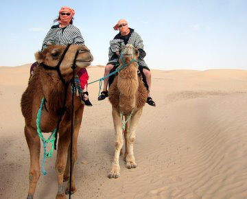 ON OUR CAMELS IN THE SAHARA